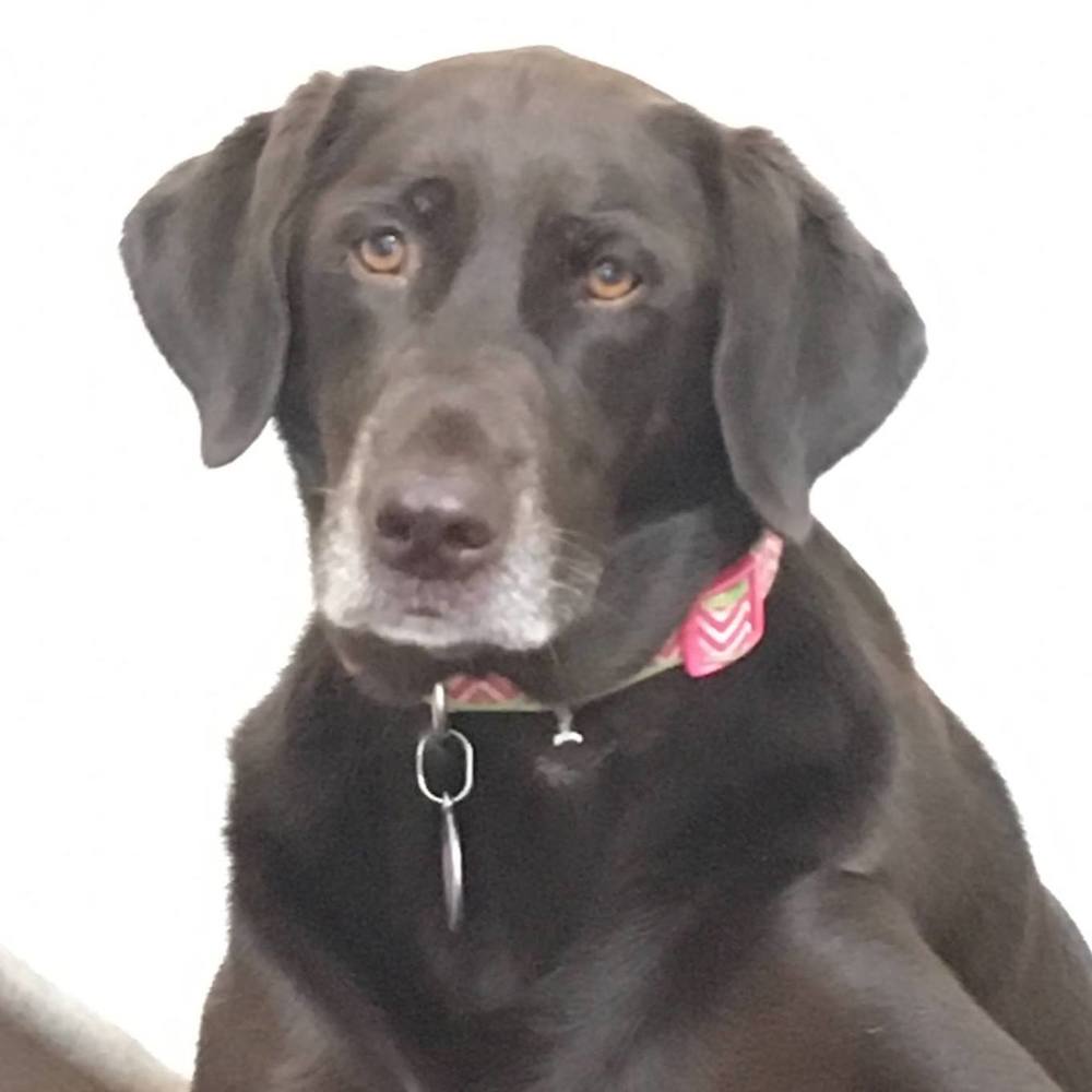 Meet your Posher, Lori